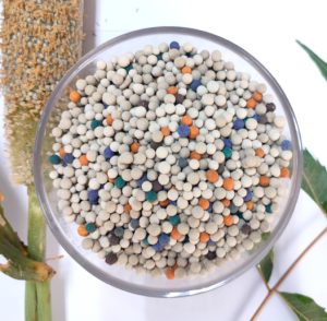 Customize Base Granules for Tailored Nutrition