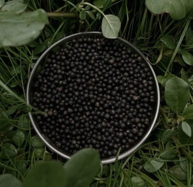 Bio-Stimulant Base Granules